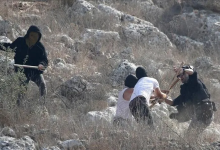 Photo of إرهاب المستوطنين.. إصابة 4 فلسطينيين وحصار منزل بالضفة