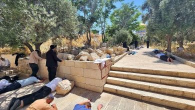 Photo of عشرات المستوطنين يقتحمون الأقصى ويؤدون طقوسًا تلمودية وسط قيود على المصلين