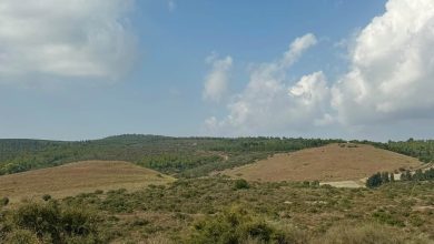 Photo of حالة الطقس: ارتفاع تدريجي على درجات الحرارة حتى الأحد