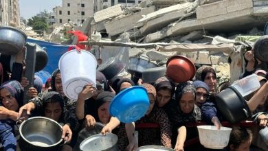 Photo of شبح المجاعة يطوّق غزة مجددًا.. إغلاق المخابز والمطاعم ونقص حاد في الغذاء