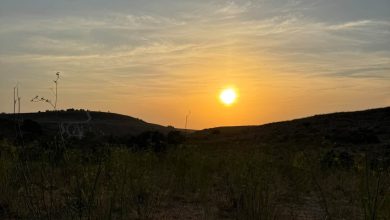 Photo of حالة الطقس: انخفاض تدريجي على درجات الحرارة