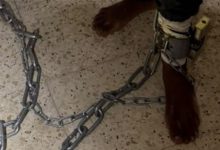 Photo of رهط: العثور على رجل مقيّد بسلاسل إلى أرضية منزل واعتقال شقيقه