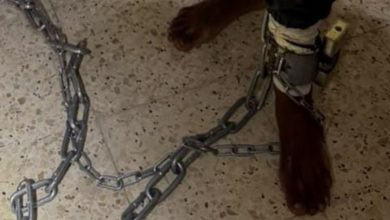 Photo of رهط: العثور على رجل مقيّد بسلاسل إلى أرضية منزل واعتقال شقيقه