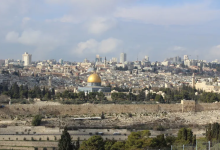Photo of للفقراء والعاملين.. ماذا تعرف عن زيتون المسجد الأقصى ومن يقطفه؟ (فيديو)