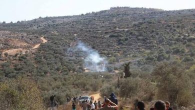 Photo of مستوطنون يهاجمون مزارعين فلسطينيين ويمنعونهم من قطف الزيتون في الضفة الغربية