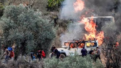 Photo of مع موسم الزيتون.. المستوطنون ينفذون 19 اعتداءً بالضفة منذ ساعات الصباح