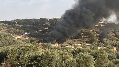 Photo of مستوطنون يعتدون على قاطفي الزيتون قرب رام الله ويحرقون المركبات