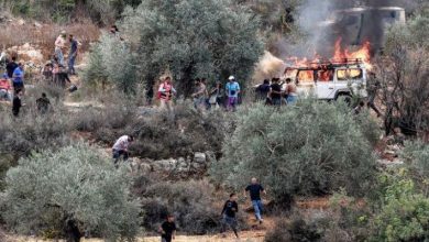 Photo of برقة تحت النار.. شهيد و16 مصابًا في عدوان للاحتلال والمستوطنين على المزارعين