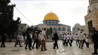Photo of أكثر من 888 مستوطنًا اقتحموا الأقصى خلال أسبوع